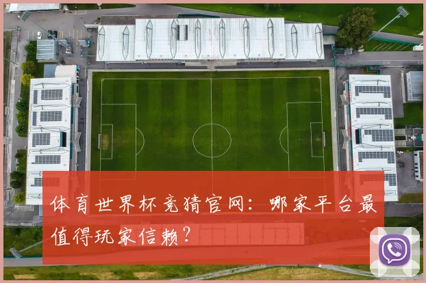 体育世界杯竞猜官网：哪家平台最值得玩家信赖？