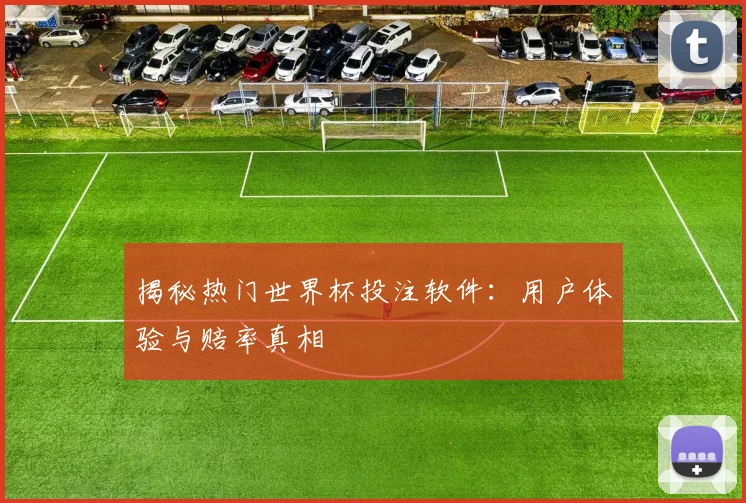 揭秘热门世界杯投注软件：用户体验与赔率真相