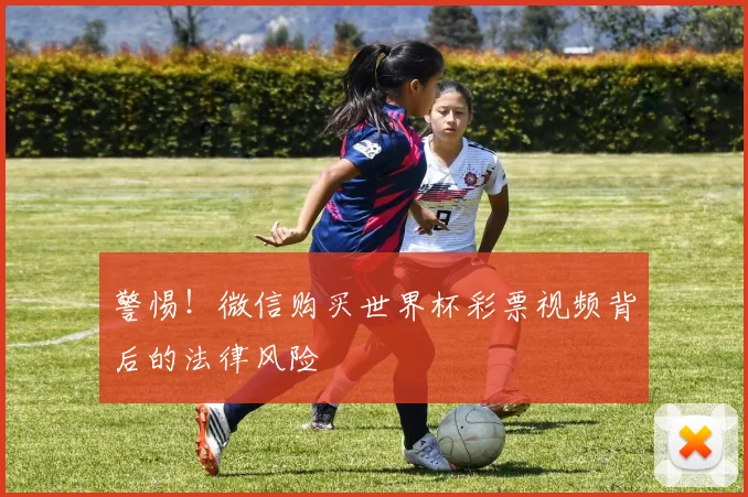 警惕！微信购买世界杯彩票视频背后的法律风险